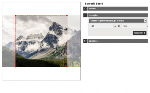 Bewerken_uitsnijden_Vaste_verhouding_resolutie.png