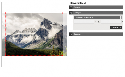 Bewerken_uitsnijden_vasteVerhouding.png