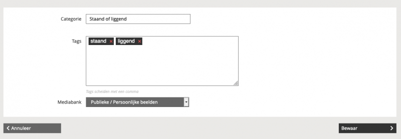 Tags_categorietoevoegen.png